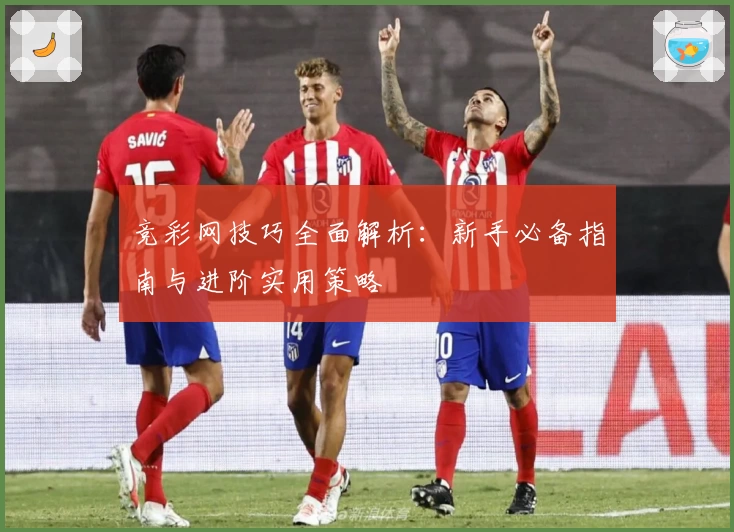 竞彩网技巧全面解析:新手必备指南与进阶实用策略