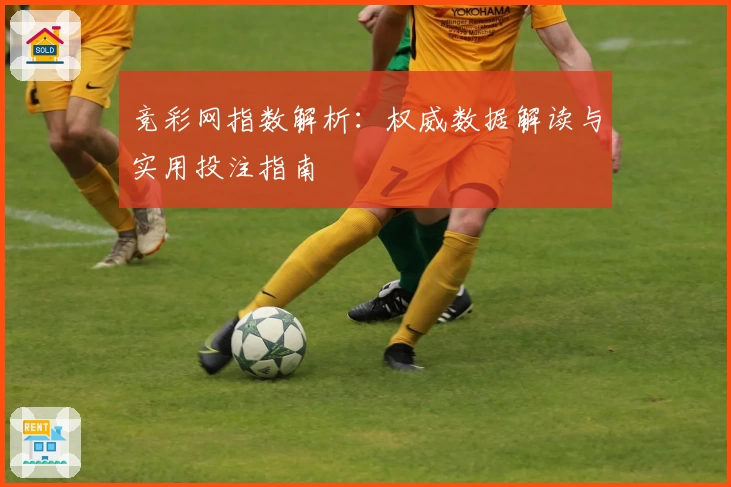 竞彩网指数解析：权威数据解读与实用投注指南